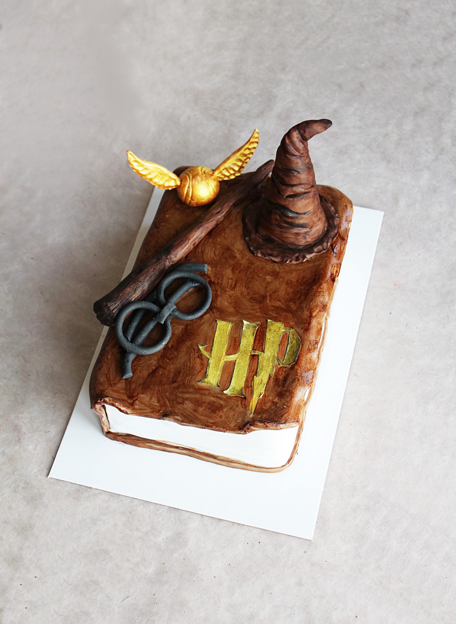 Gâteau Harry Potter décoration chocogrenouille et magie vegan et sa